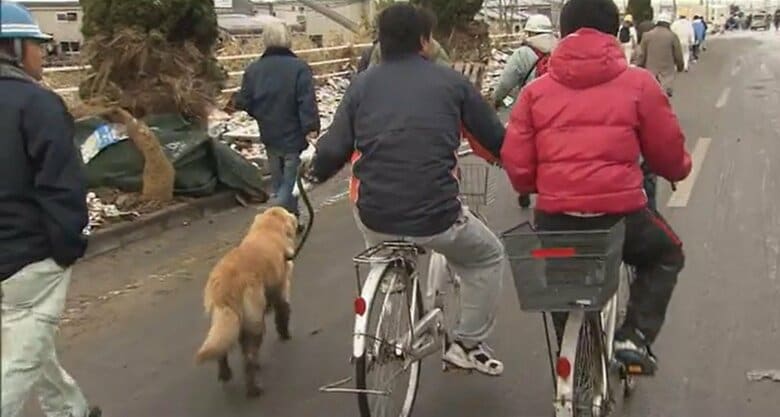 「災害時、ペットを置いて逃げることはできない」 備えている飼い主はわずか2割 避難の際に大切な家族を守るために|FNNプライムオンライン