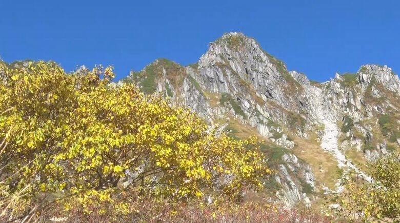 「開いた口が塞がらない」千畳敷カールで紅葉が見ごろ　青空に輝く赤や黄　南アルプスとの競演に「大感激」　10月3、4日頃が一番の見ごろ｜FNNプライムオンライン