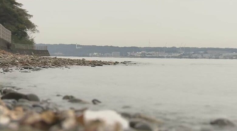 事故装い殺害か  足に障害の男性が車ごと浜名湖に転落し溺死　逮捕の男(53)　当初「誤って落ちた」｜FNNプライムオンライン