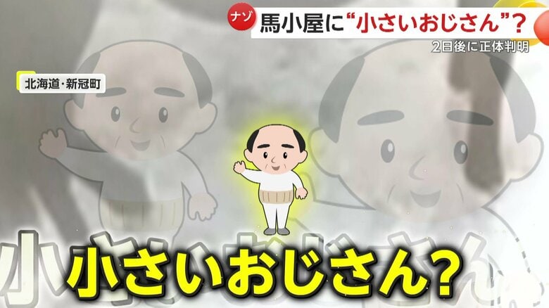 【小さいおじさんの正体】「テケテケって歩き出し…心臓が口から出そう」馬小屋に出没した謎の物体…不気味な2本足は「クモ」か　北海道・新冠町｜FNNプライムオンライン