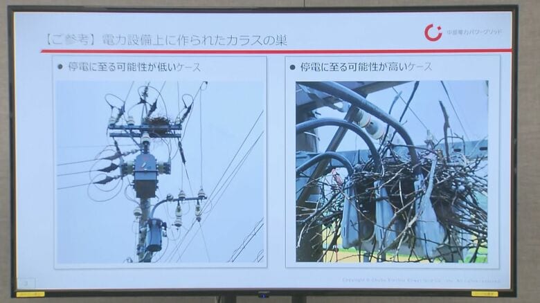 ヒナ431羽を無許可で捕獲…電柱等のカラスの巣を中部電力PGが違法に撤去「捕獲は許可が下りない」と誤解｜FNNプライムオンライン