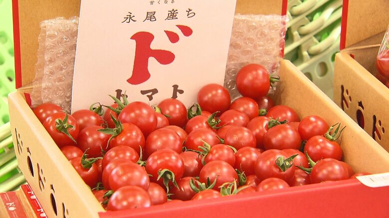 “トマトアレルギー”の農家がつくるトマトが即完売！ 2倍の値段でも飛ぶように…｢味は客に教えてもらう」 【佐賀発】｜FNNプライムオンライン