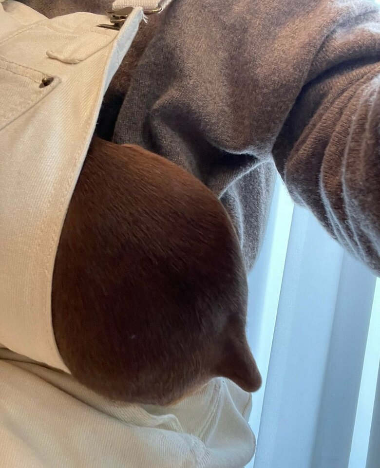 頭隠して尻隠さずの状態に…