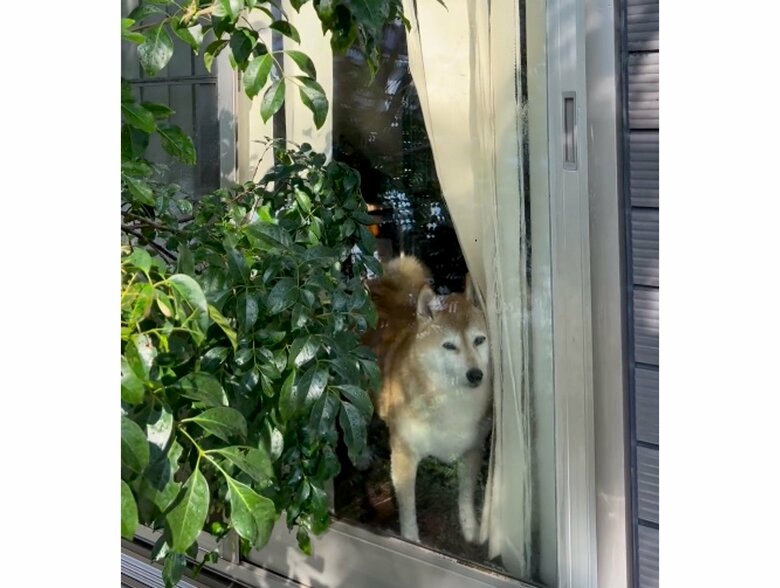 提供：橋本真実さん