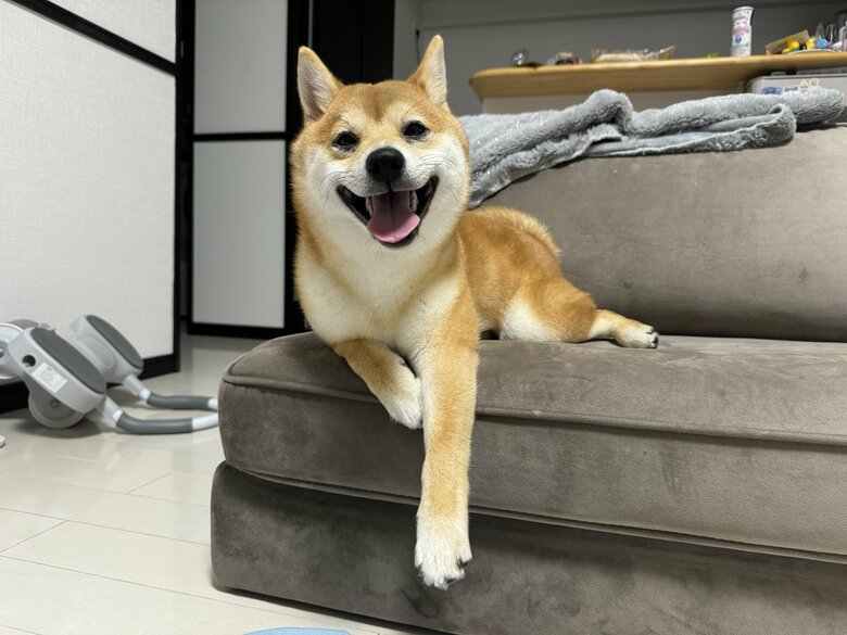 提供：わさび一族さん