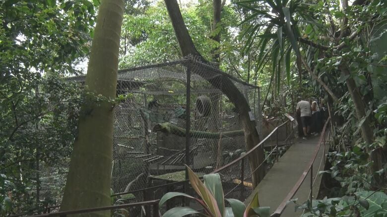 動物を保護する施設