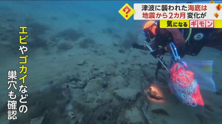九十九湾の海底を調査する金沢大学の研究チーム