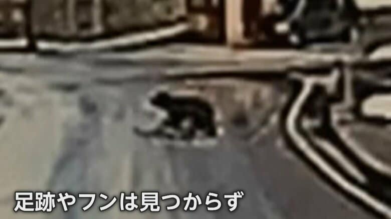 （画像：視聴者ドライブレコーダー映像）