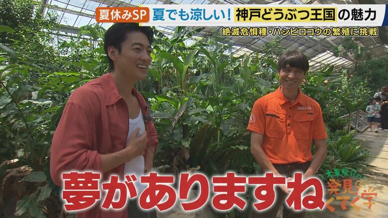 アジア初の繁殖に挑戦中
