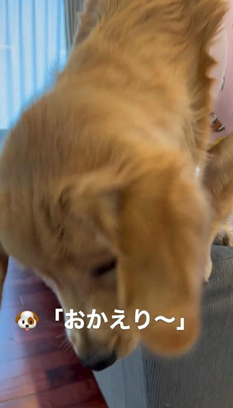 下を見ておりようとしているようだが…