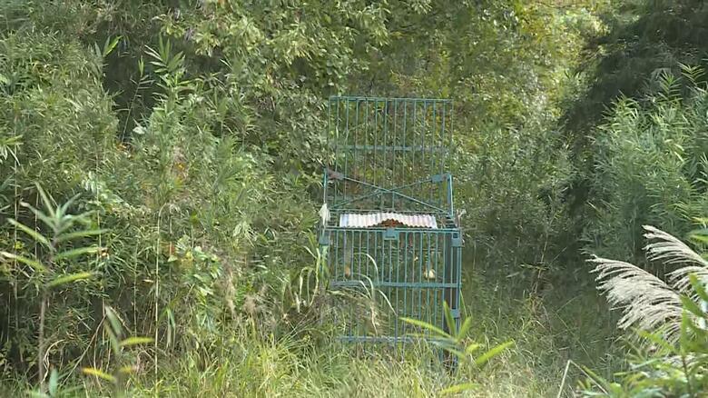 住宅近くに設置された箱ワナ