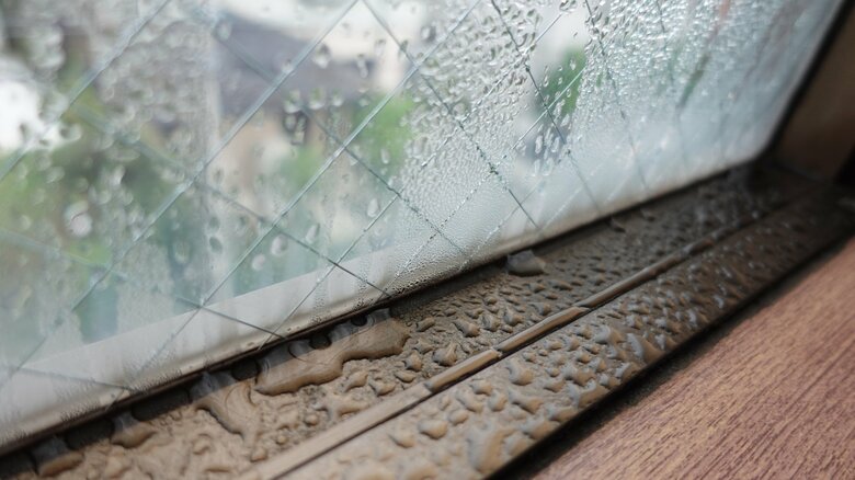 （画像はイメージ）