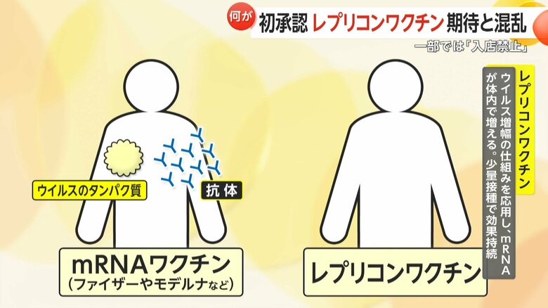従来のmRNAワクチンはウイルスのタンパク質を作るがその後タンパク質は消滅する