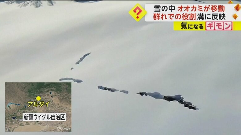 中国・新疆ウイグル自治区で撮影された雪面の様子