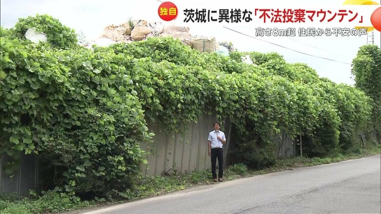 174cmの広瀬キャスターと比較すると、廃棄物の山の高さは、その約5倍の8～9ｍほどの高さだろうか。