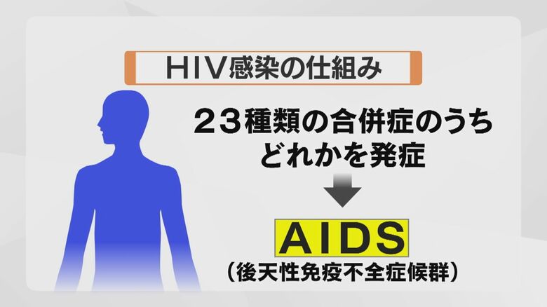 HIV陽性でも、発症しなければ「AIDS患者」ではない