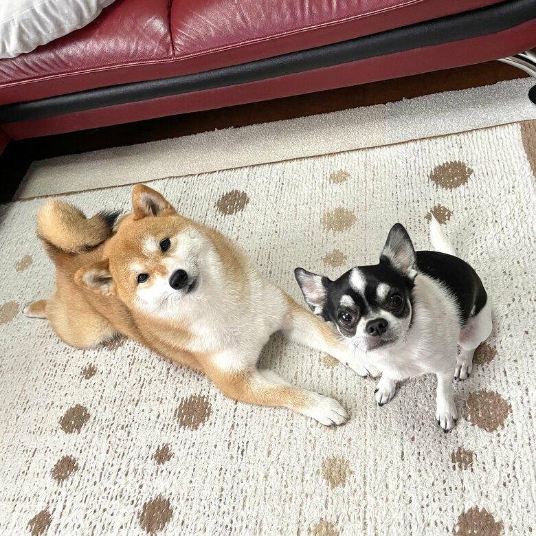 提供：うにさん