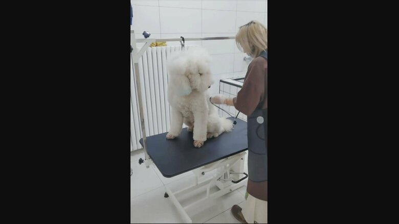 （中国SNSより）