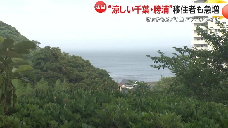 勝浦の海を一望できる田井さんのマンション