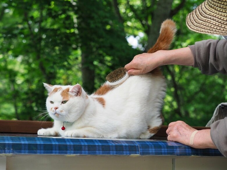 気持ちよさそう（提供：MARCOさん）