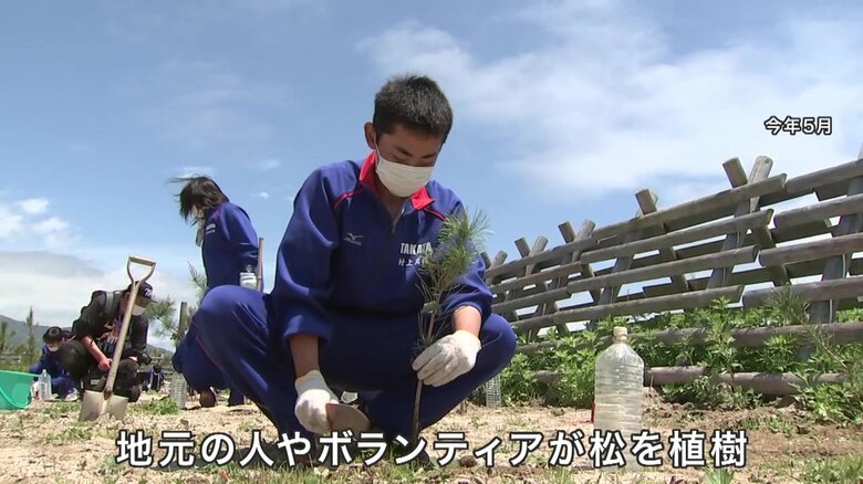 県の砂浜の再生事業で松の植樹に取り組む地元の人やボランティア