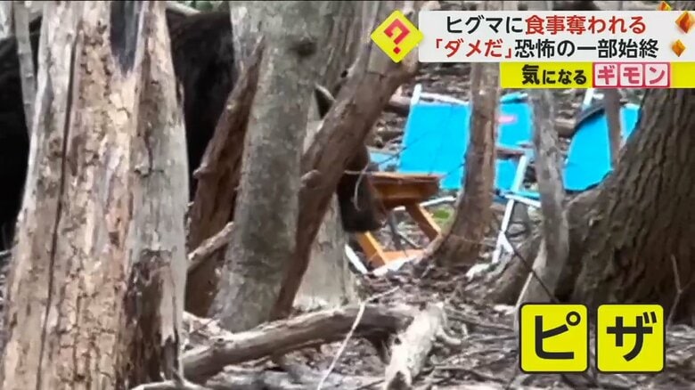 ヒグマが前足でテーブルを揺らした（FNN投稿サイト「ビデオPost」葉田ルコHadaRuko）