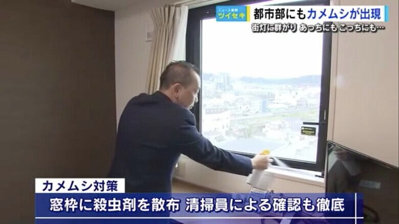 客室の窓枠に殺虫剤を散布する一色副支配人