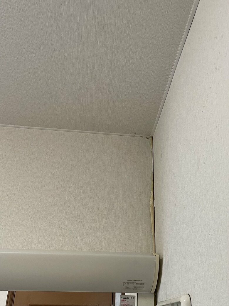 現在の植物が生えてきていた場所（11月末提供）