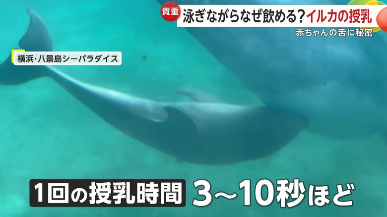 3秒から10秒ほどになっている1回の授乳時間