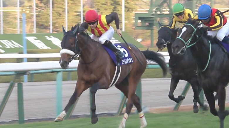 2023年 阪神JF2着の ステレンボッシュ