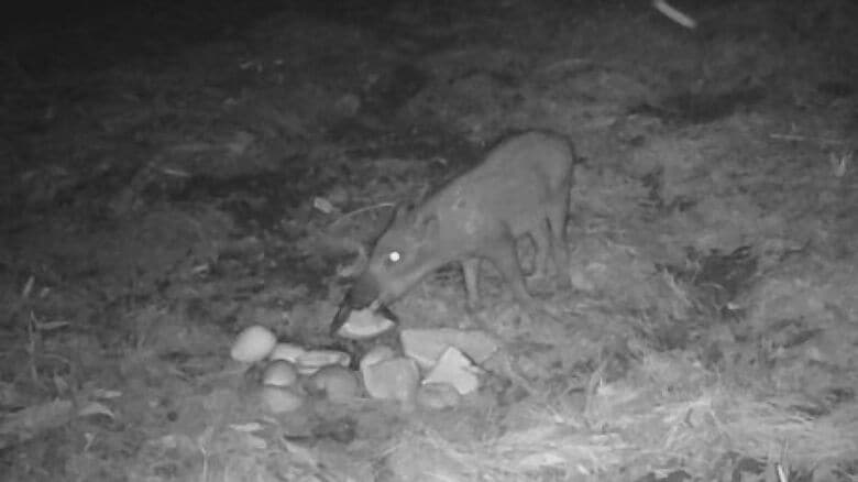 提供：山﨑久雄さん