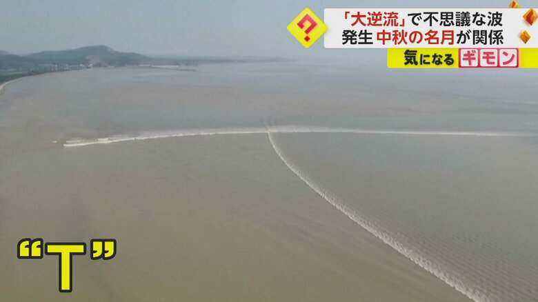 アルファベットの“T”のような形をした波