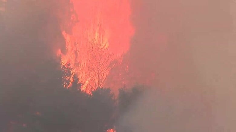 岩手・大槌町山林火災