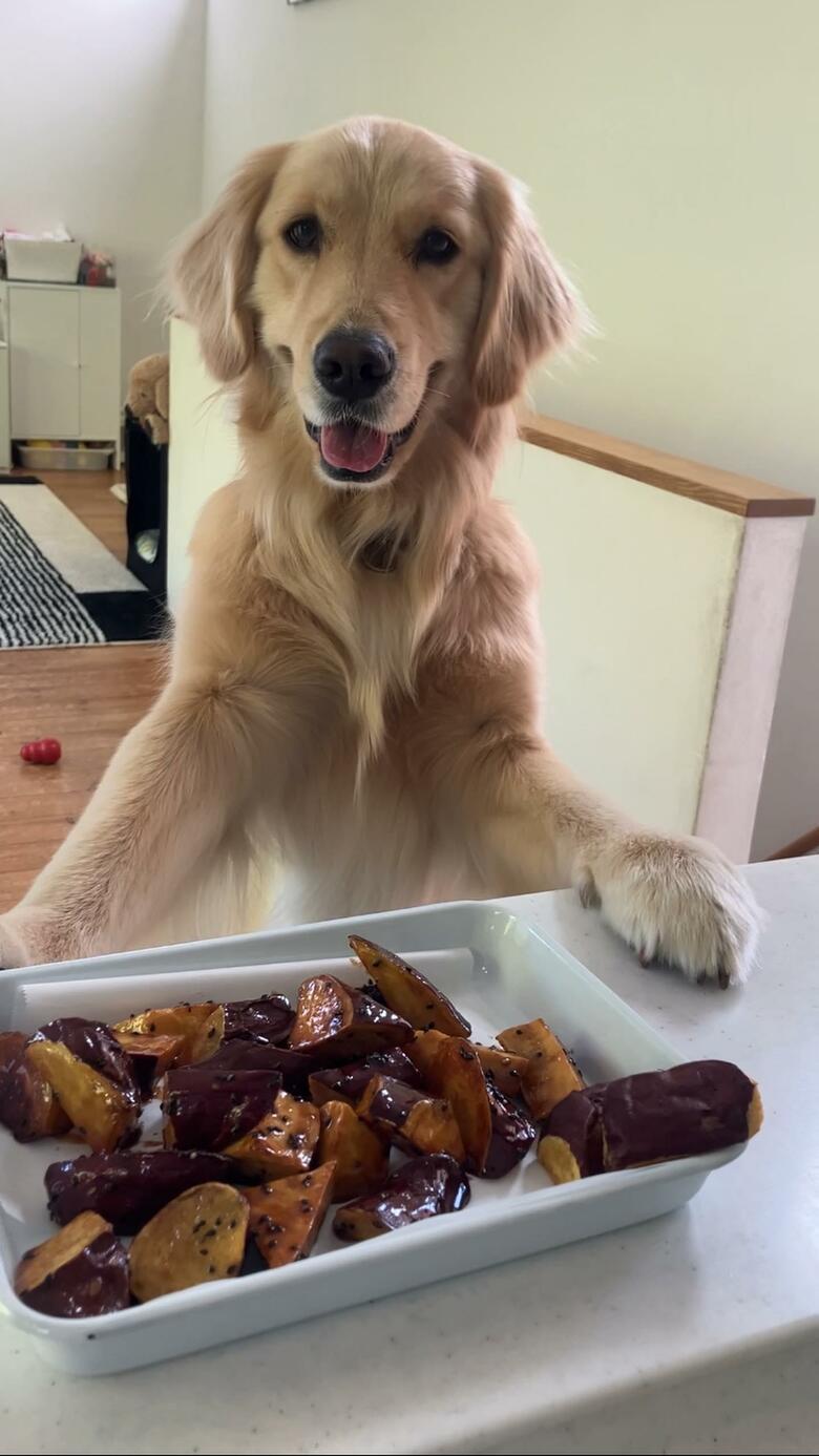 提供：エマさん