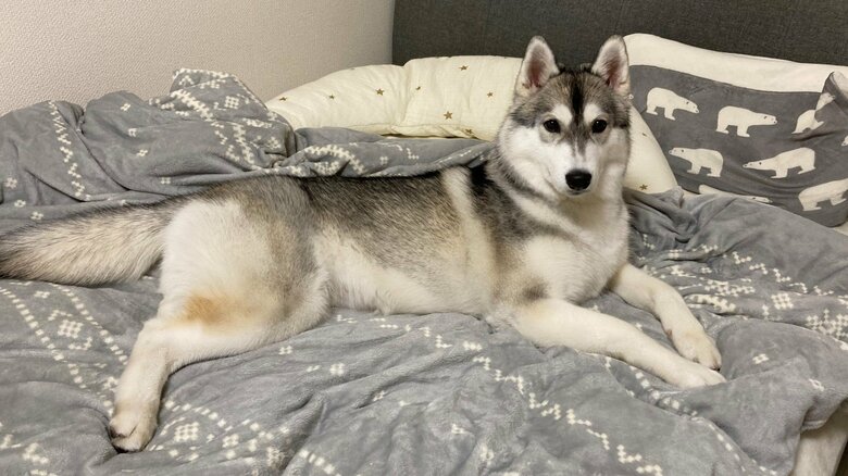 ベッドの上で満足気な様子