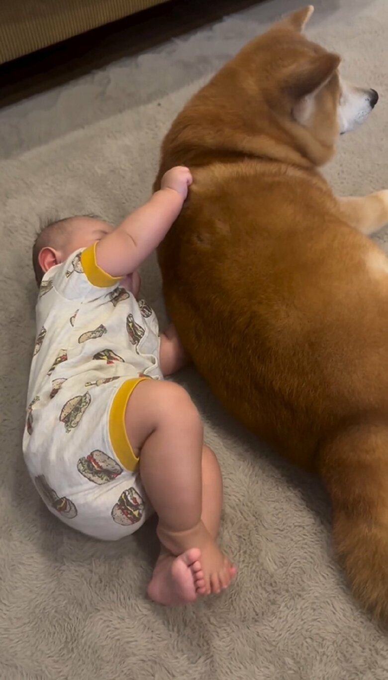 ワシャワシャしている