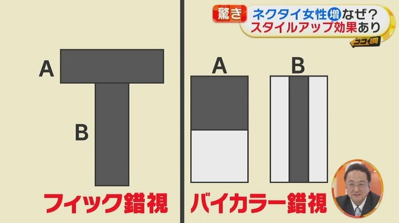 AとBの長方形、どちらも「B」の方が細長く見えないだろうか？