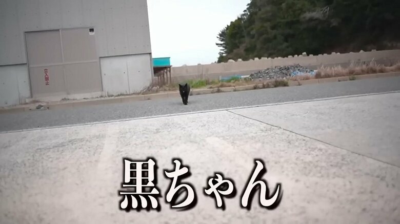 約1カ月後に再度訪ねると…