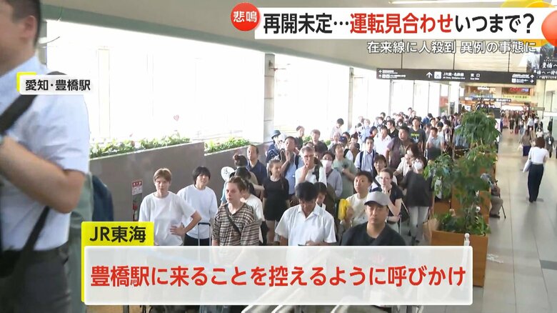 在来線での移動を試みる人が殺到した愛知・豊橋駅