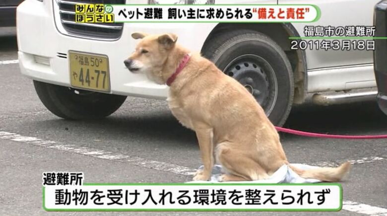 東日本大震災の避難所（福島市）