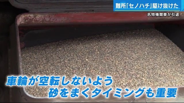 公園の砂場の砂よりは大きめかなという印象