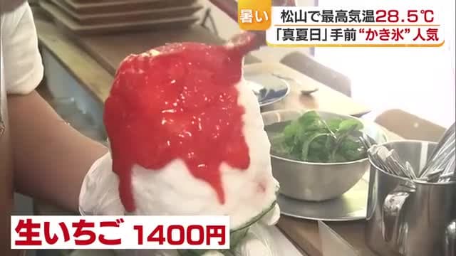 松山で２８．５度“真夏日”手前の暑さ「めちゃくちゃおいしい」冷たい“かき氷”が人気に【愛媛】