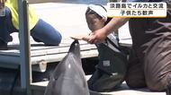 「めっちゃかわいかった」　海の中で触れ合えるイルカに子どもたちも歓声　背びれにつかまる体験も　夏日の淡路島で大人気　南あわじ市
