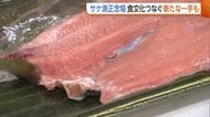 「サケ漁は正念場」5万匹超から1400匹ほどに…漁獲量激減の新潟・村上市　食文化つなぐ新たな一手は“サクラマス”「サケの代わり以上に」