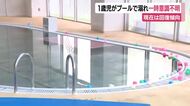 1歳男児がプールで溺れ一時意識不明　現在は回復傾向　湖西市の施設は当面の間休業
