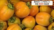 秋の味覚・西条柿「こづち」県内トップを切って出荷始まる　猛暑を乗り越え甘い仕上がりに（島根・浜田市）