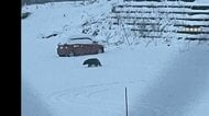 「ギャー」と悲鳴、覆い被さるクマを素手で殴り追い払う　温泉街では雪かき中に78歳男性が襲われ流血　各地で被害相次ぐ