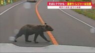 住宅街でクマに襲われ…突然の遭遇で死傷事案も　耕作放棄で「人との領域が曖昧に」 【北海道発】
