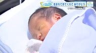 サンキューベイビー ＃134 中内景里（なかうち けいり）くん「軸のある、ぶれない子に育ってほしい」