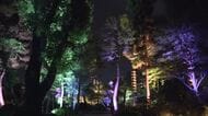 「カラフルな光あて」日本庭園をライトアップ　幻想的な空間を体感　週末の期間限定　広島市・縮景園